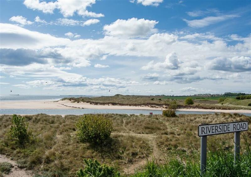 The area around Tidal Point at Tidal Point, Alnmouth