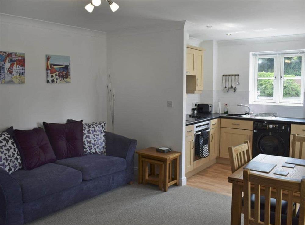 Good sized open plan living/kitchen area at Tidal Retreat in Whitby, North Yorkshire