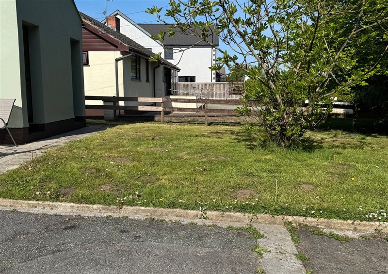 The garden at Tig Bhan, Llanteg