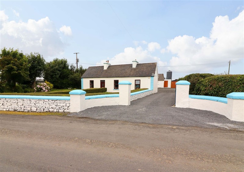 The garden at Tig Davy, Mullagh