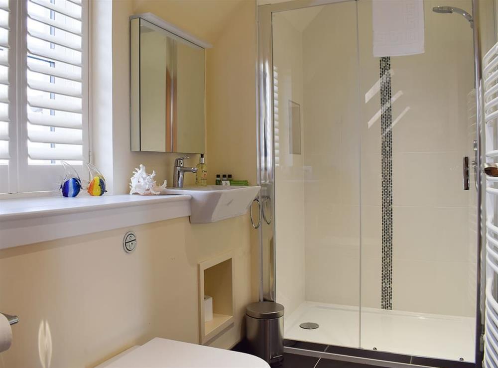 Shower room with large shower cubicle at The Garry, 