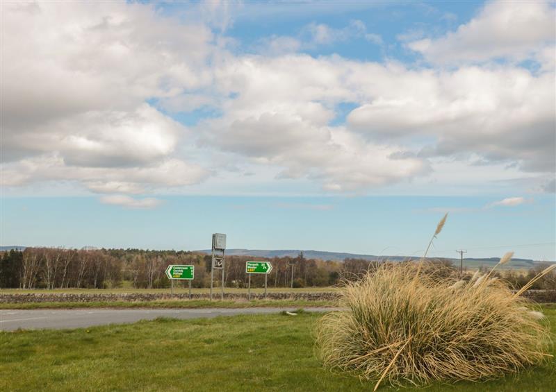 Rural landscape (photo 2) at Tile Rouge, Akeld near Wooler