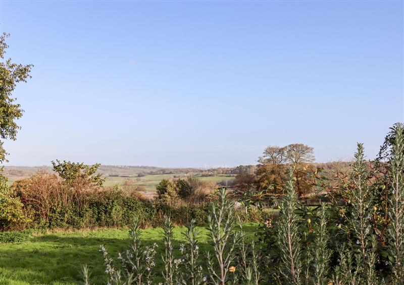 Rural landscape at Tillingham View, Rye near Broad Oak