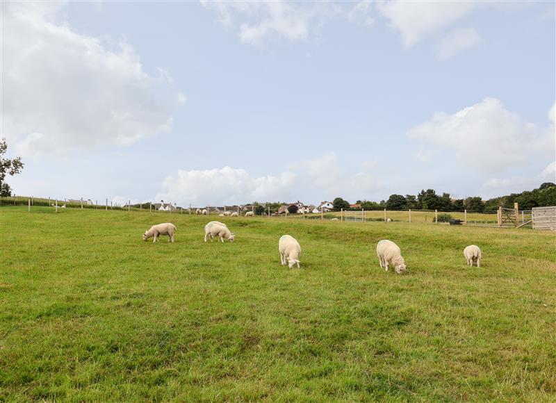 Rural landscape at Tilly Bob Lodge, Llanrhos near Llandudno