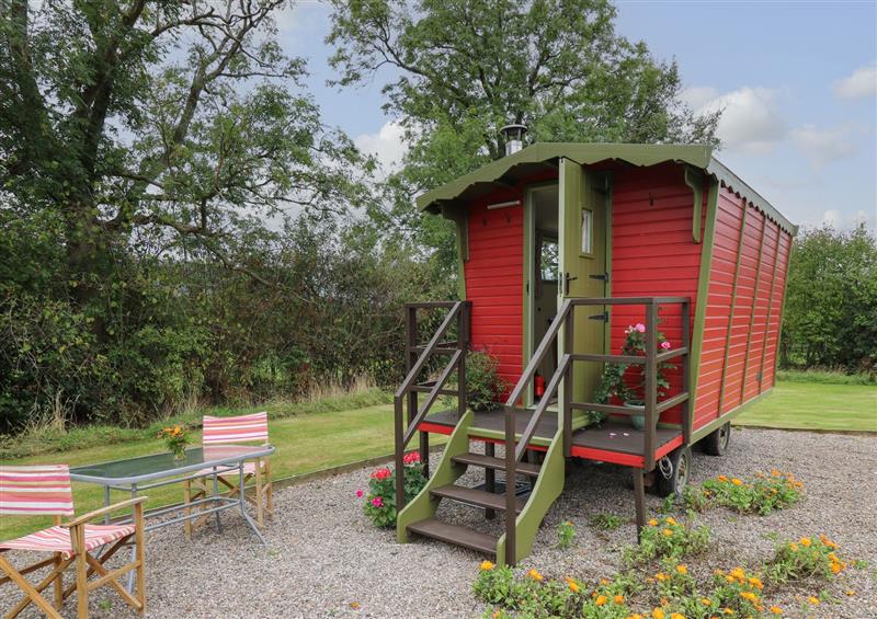 The garden in Tilly Gypsy-style Caravan Hut at Tilly Gypsy-style Caravan Hut, Llangorse