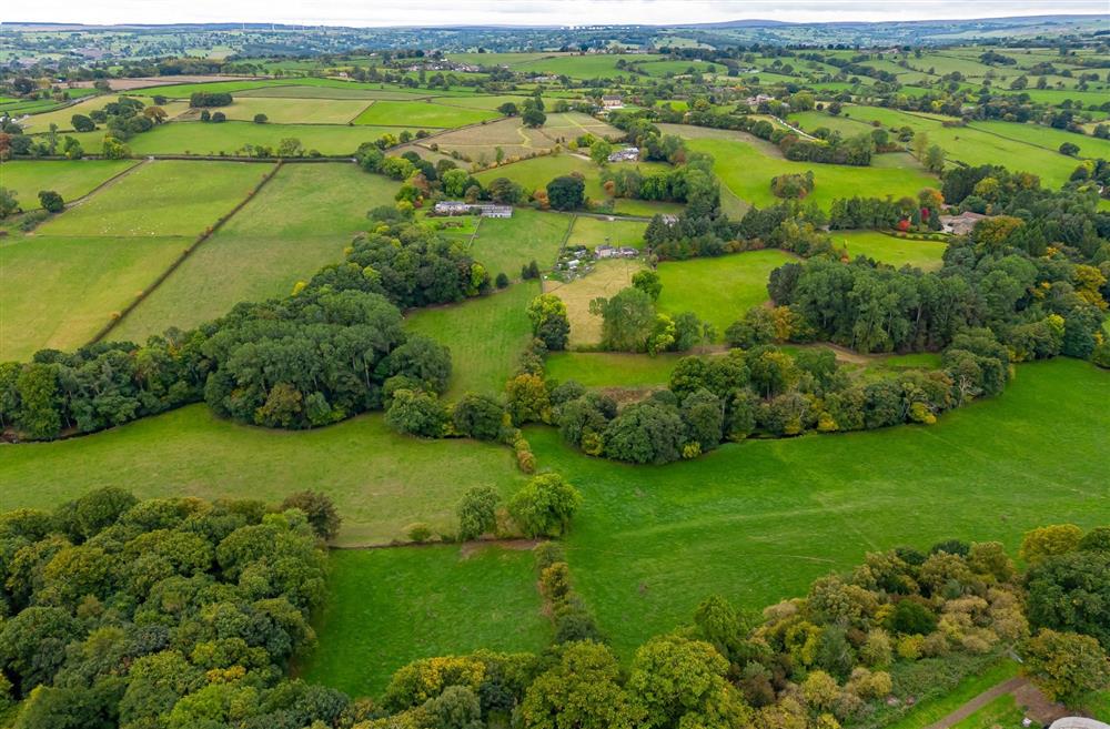 A bird's-eye view