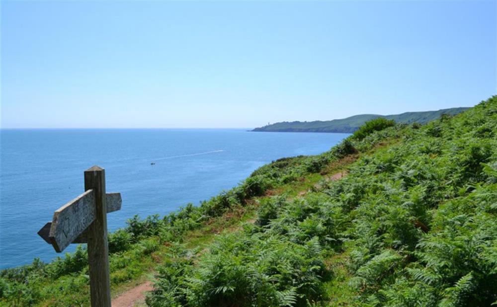 The coastal path that runs just behind the cottage. at Tinsey Cottage in Beesands