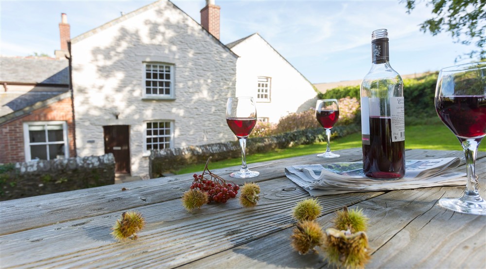 The garden at Tippett's in Lanteglos-by-fowey, Cornwall