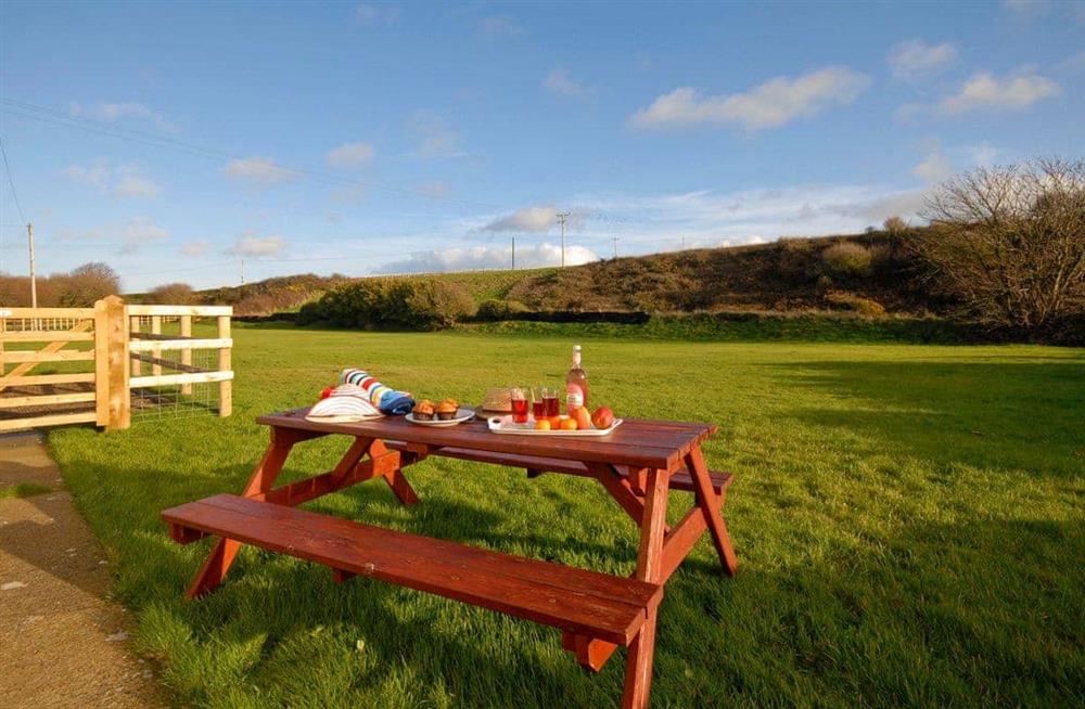 Rural landscape at Tir Deri in Llanhrian, near Haverfordwest, Pembrokeshire, Dyfed