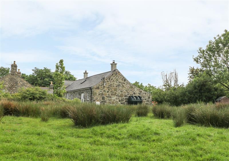 Rural landscape at Tir Eironwy, Dinas