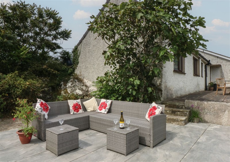 Enjoy the garden at Tir Mawr, Niwbwrch (newborough)