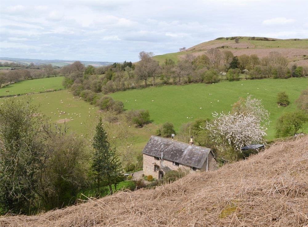 Idyllic rural location at Titchbourne Cottage in Clee St Margaret, near Ludlow, Shropshire
