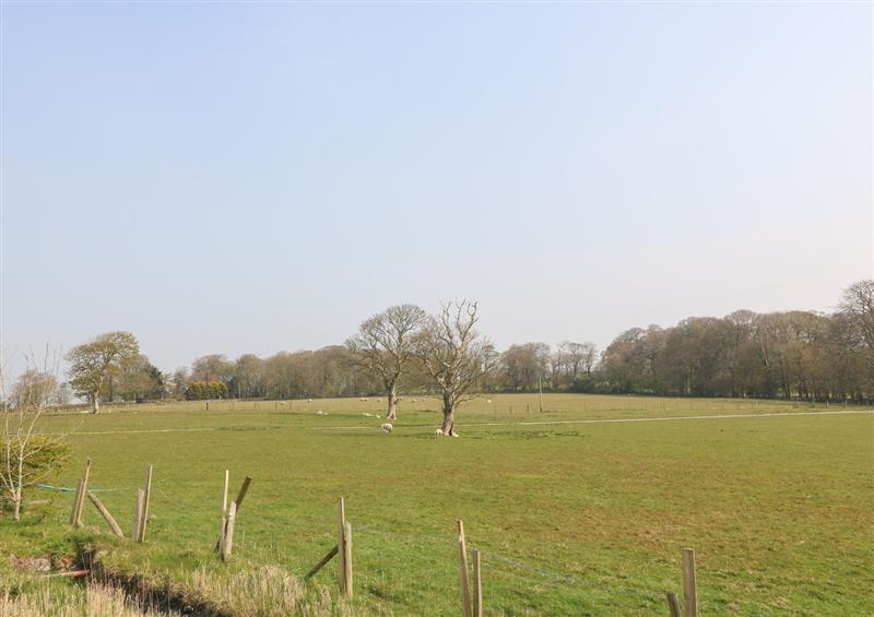 Rural landscape at Tithe Barn, Capel Mawr near Malltraeth