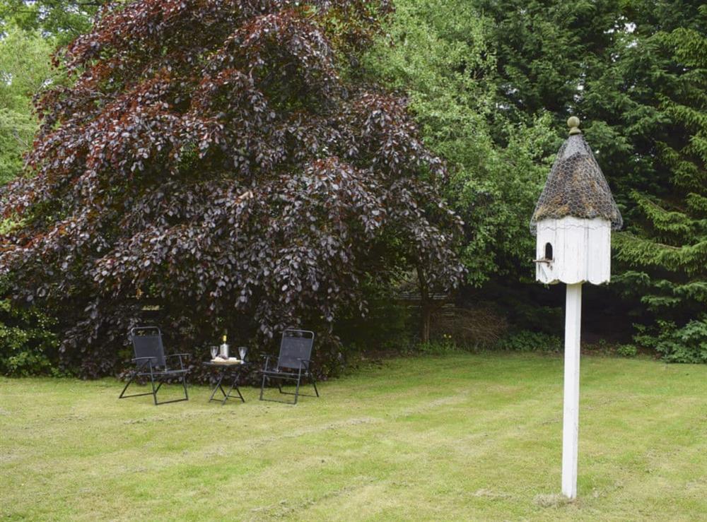 Large private grassed area and garden furniture (photo 2) at Toad Hall in Aberfeldy, Perthshire