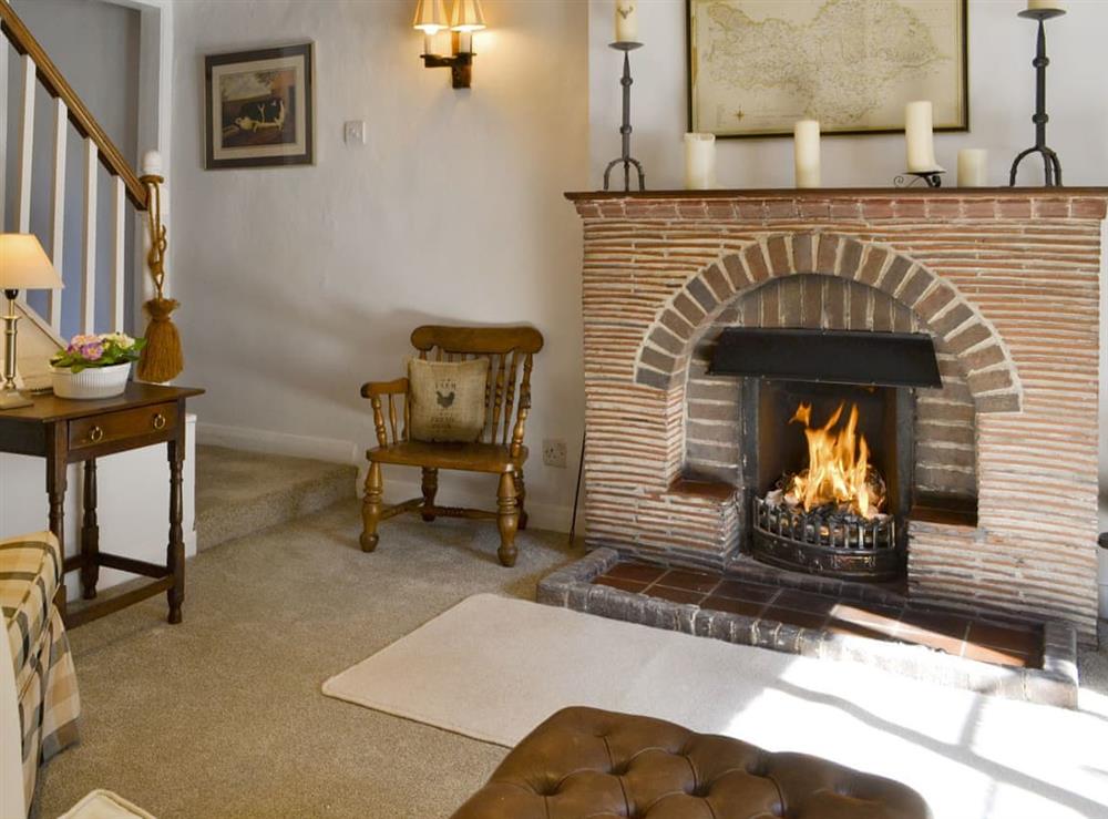 Welcoming living room with open fire at Toad Hall in Helmsley, North Yorkshire