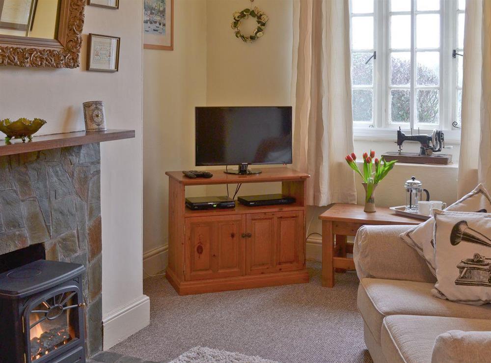 Living room at Toad Hall in Tavistock, Devon