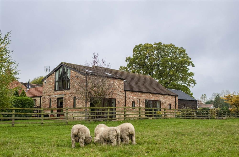 Tockwith Lodge Barn is surrounded by gardens and farmland at Tockwith Lodge Barn, York