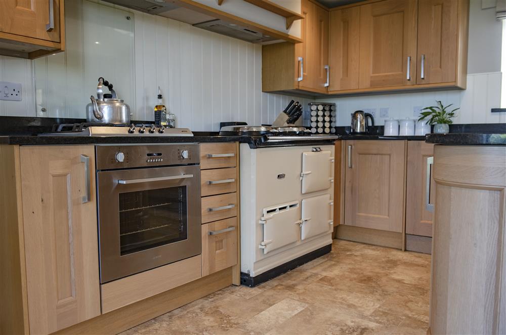 Well-equipped kitchen with AGA and SMEG electric oven and gas hob at Todd Hills Hall Farmhouse and Vale Croft, Melmerby