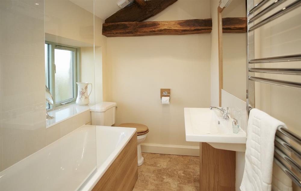 En-suite bathroom with handheld shower attachment belonging to Bedroom 3 at Todd Hills Hall Farmhouse, Melmerby