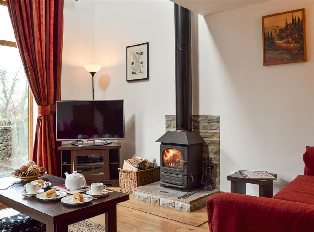 Living room with wood burner at Toll Barn Cottage in High Peak, Derbyshire