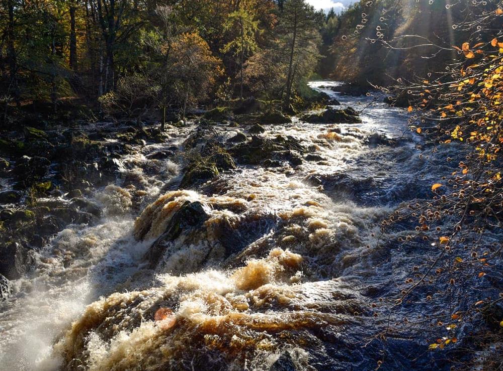 Spectacular local scenery at Toll Bridge Lodge in Banchory, Aberdeenshire