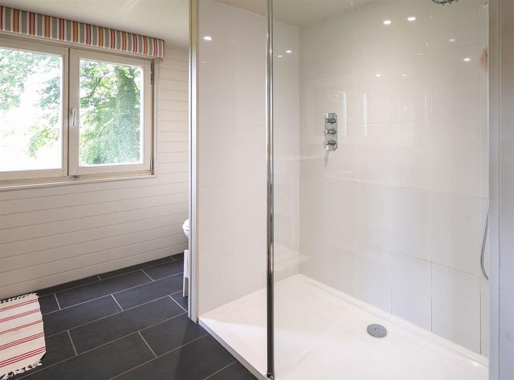 Shower room with large cubicle at Tor Hatch Cabin in Shere, near Guildford, England
