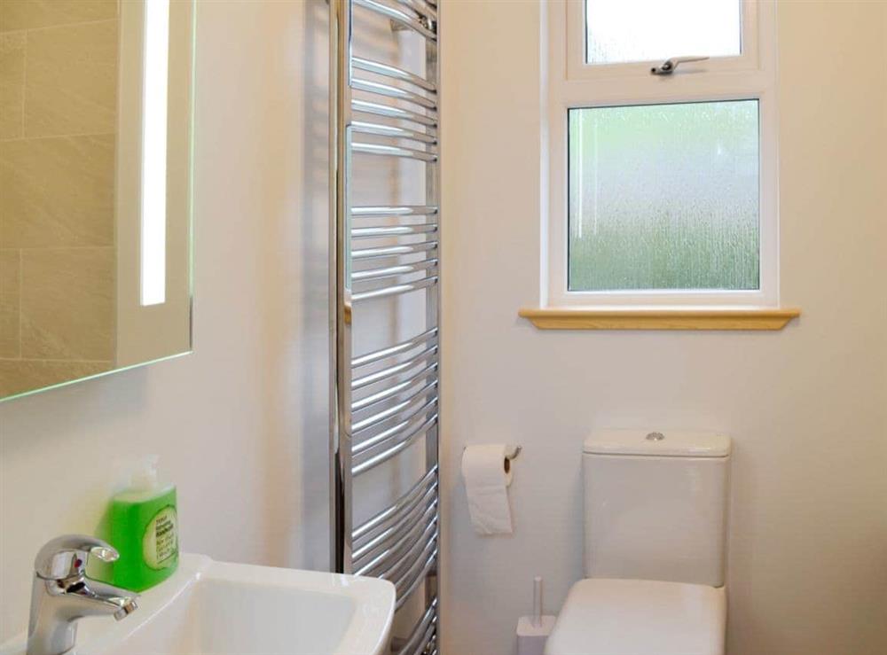 Bethroom with shower over the bath and heated towel rail