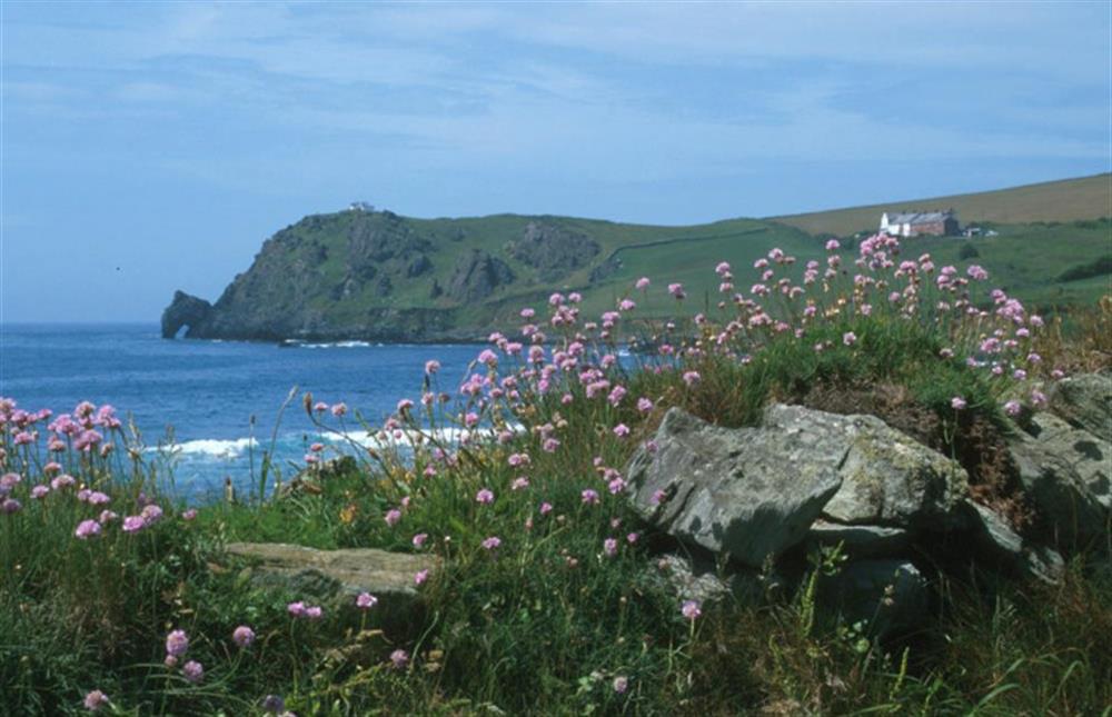 Prawle Point and Coastguard station at Torrings Barn in East Prawle