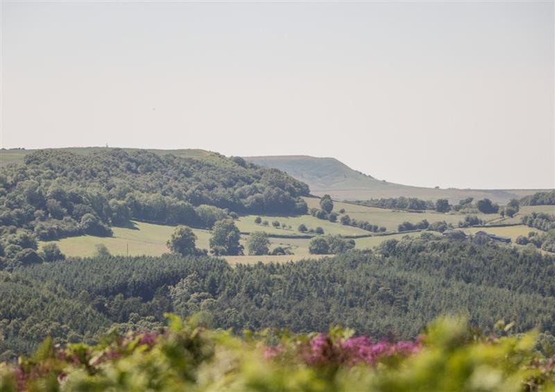 Rural landscape