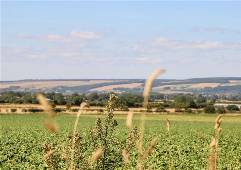 Rural landscape