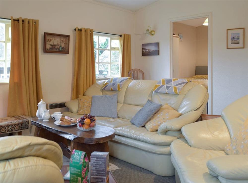 Living area (photo 2) at Torwood 4 in Cenarth, near Newcastle Emlyn, Dyfed