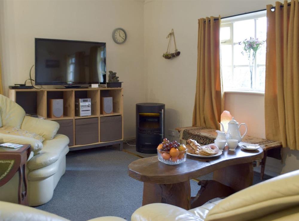 Living area at Torwood 4 in Cenarth, near Newcastle Emlyn, Dyfed