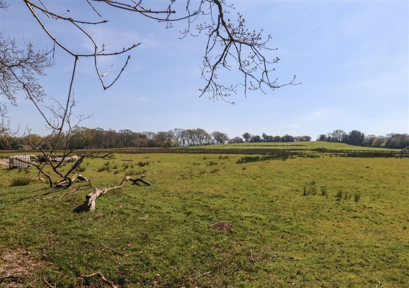 Enjoy the garden at Tothery, Hooke near Beaminster