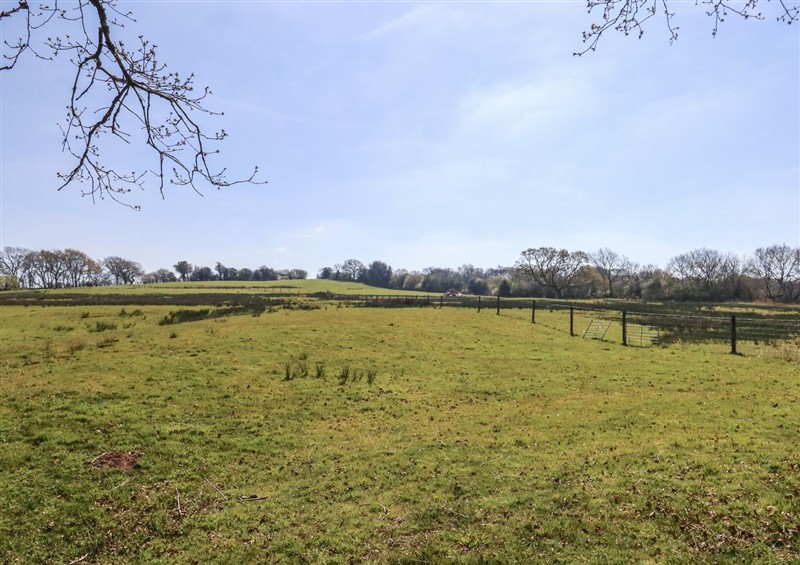 Outside (photo 2) at Tothery, Hooke near Beaminster