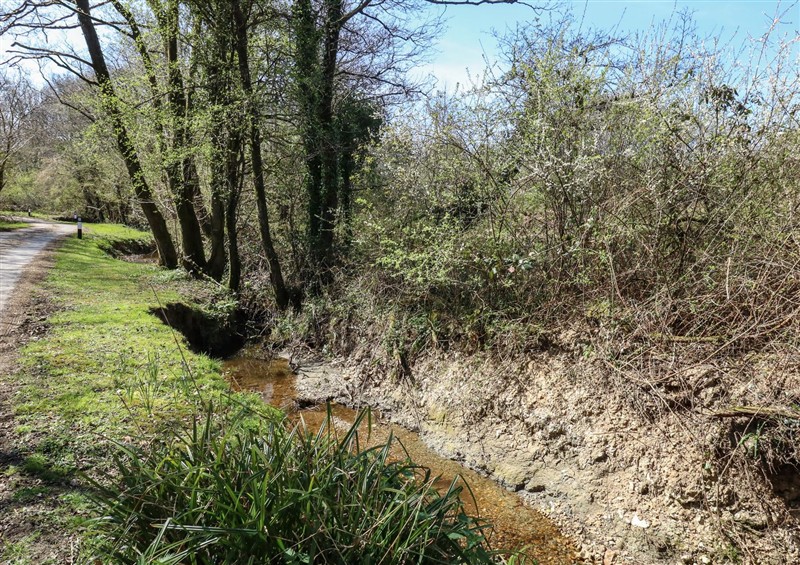 Outside at Tothery, Hooke near Beaminster