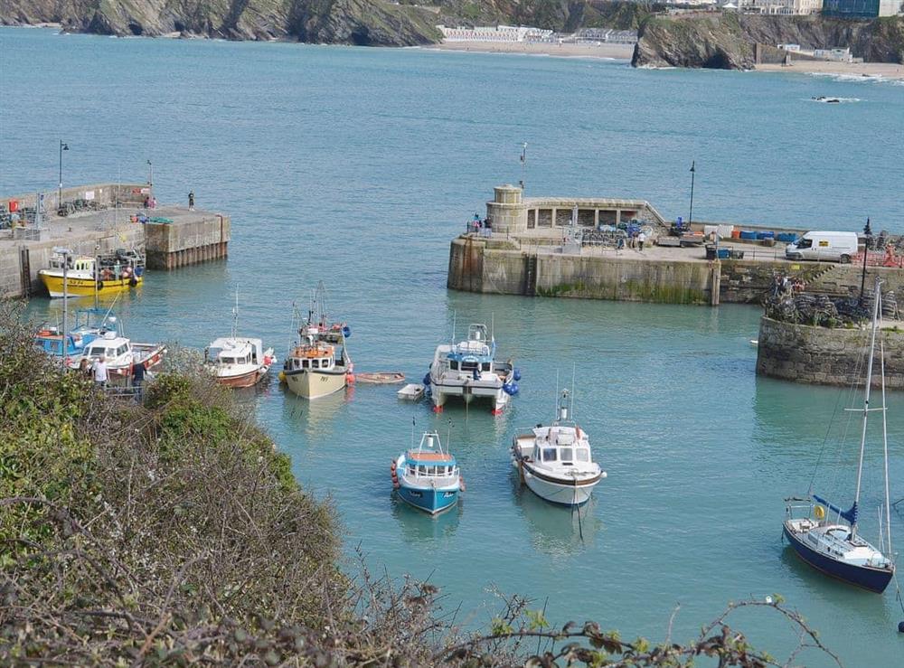 Newquay Harbour at Towan View in Newquay, Cornwall