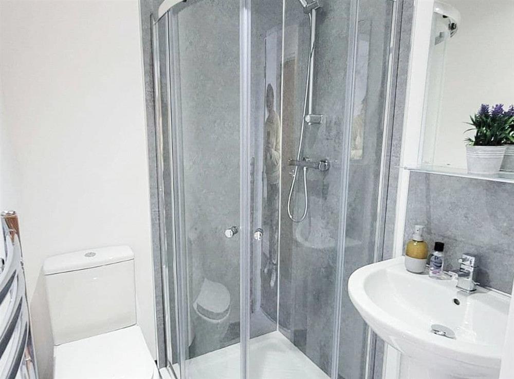 Shower room at Tower Hill Grange in Great Hatfield, near Hornsea, North Humberside