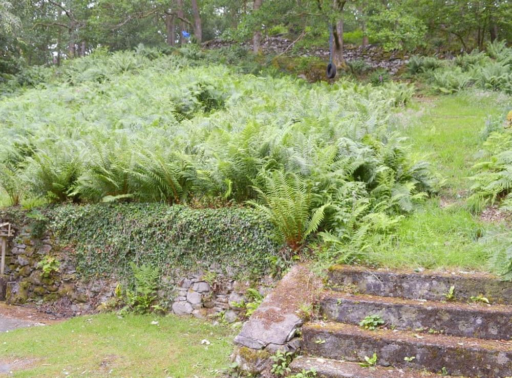 Extensive natural garden at Tower View in Beech Hill, near Bowness-on-Windermere, Cumbria