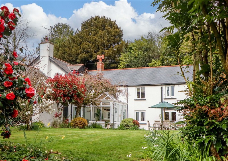 The garden at Town Farm Cottage, Barnstaple