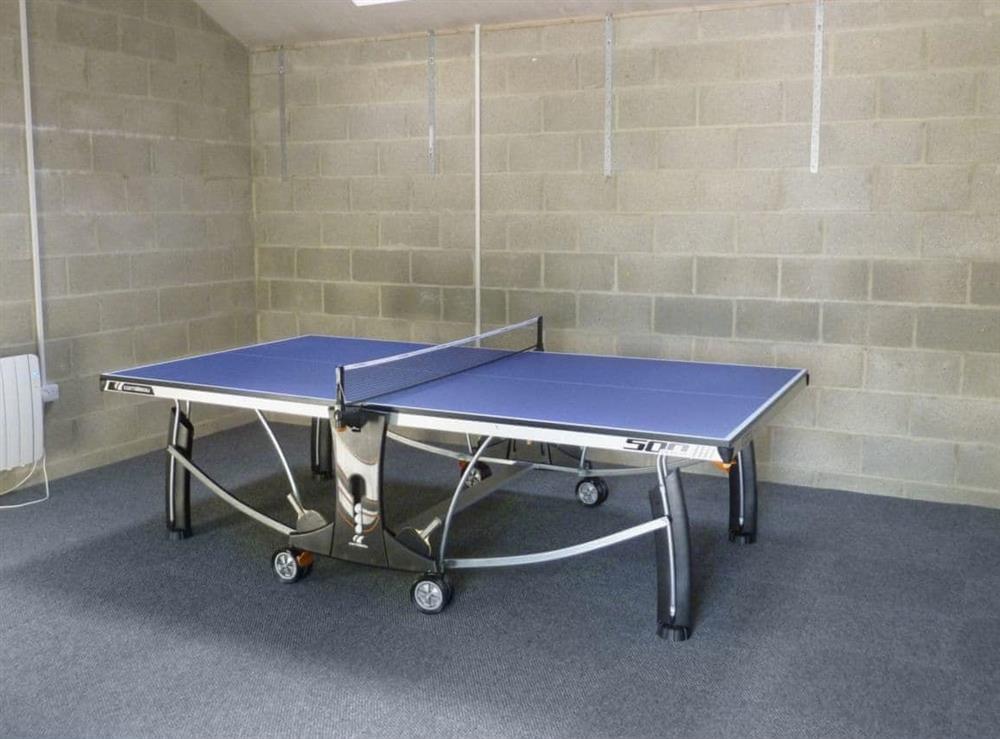 Shared table tennis at Town Head Cottage in Melmerby, Coverdale, N. Yorkshire., North Yorkshire
