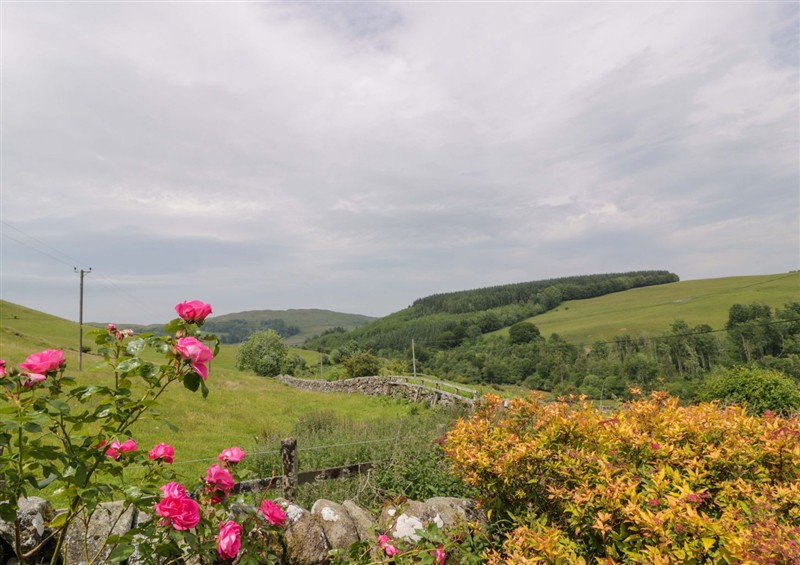 Rural landscape at Townhead of Auchenbainzie, near Thornhill