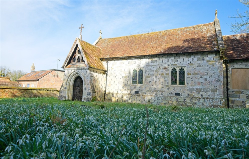 The garden in Trafalgar Gardens (photo 3) at Trafalgar Gardens in Downton