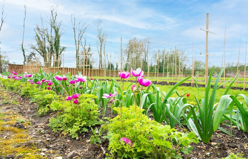 This is the garden (photo 3) at Trafalgar Gardens in Downton