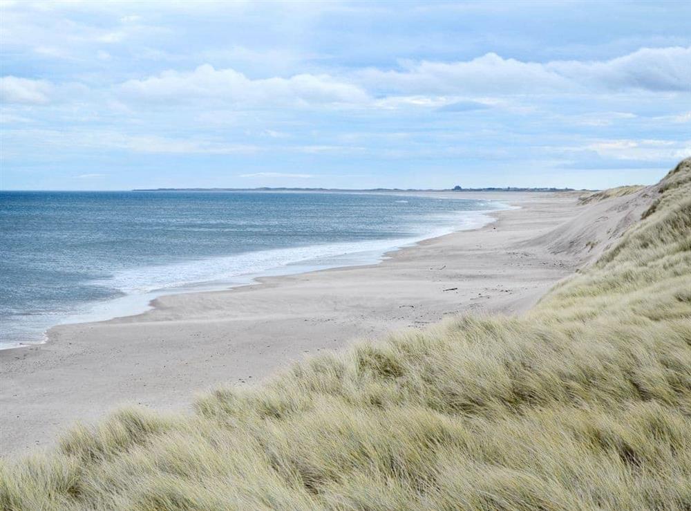 Berwick beach at Tranquillity in North Sunderland, Seahouses, Northumberland