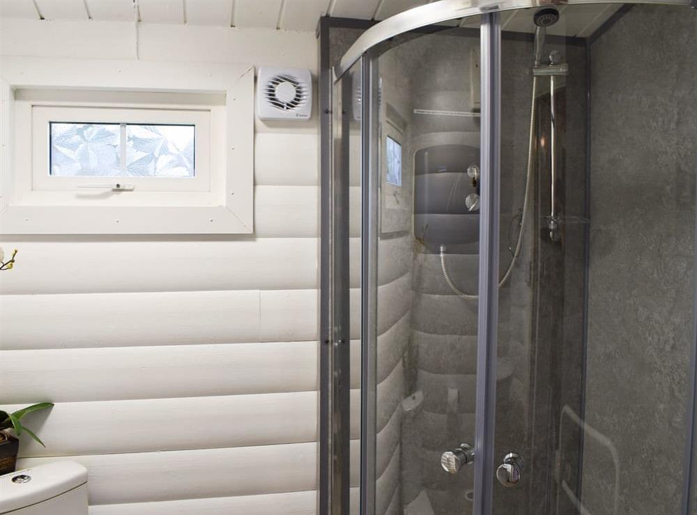 Shower room (photo 2) at Trawsfynydd Cabin in Bron Aber, near Trawsfynydd, Gwynedd