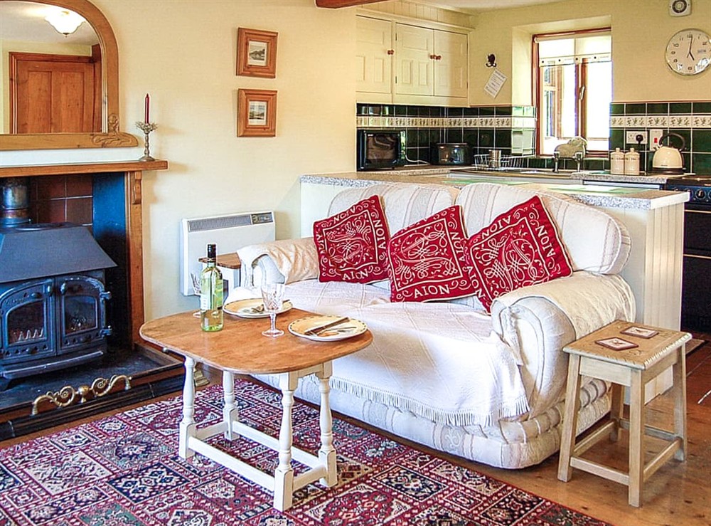 Living area at Tre-Allt Cottage in Dolgellau, Gwynedd