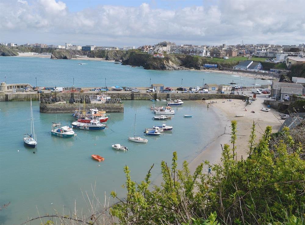 Newquay Harbour at Tre Lowen in Newquay, Cornwall