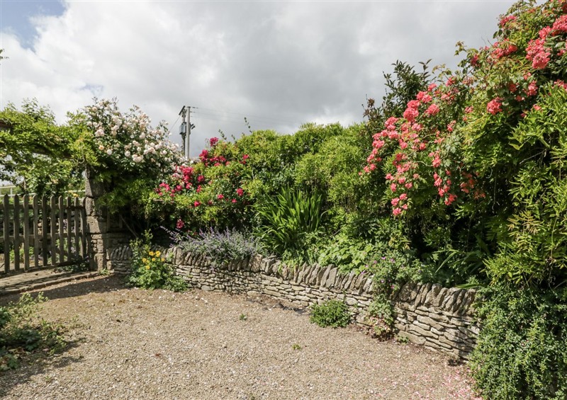 The garden in Treacle (photo 2) at Treacle, Carnforth