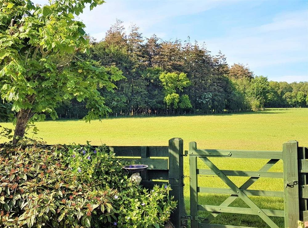 Private Garden (photo 2) at Trebor in Annan, near Carlisle, Dumfriesshire