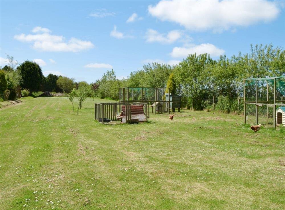 Garden and grounds at Holly, 